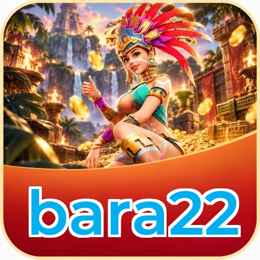 bara22 Key Features